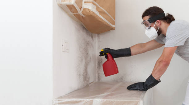 Professional Basement Mold Removal technician working in Port Monmouth, NJ