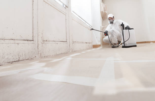 24/7 Emergency Basement Mold Removal experts in Port Monmouth, NJ