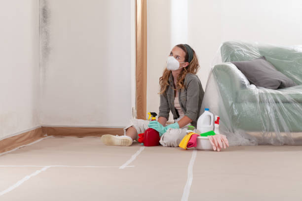 Reliable Basement Mold Removal contractor in Port Monmouth, NJ by WQB Mold Removal
